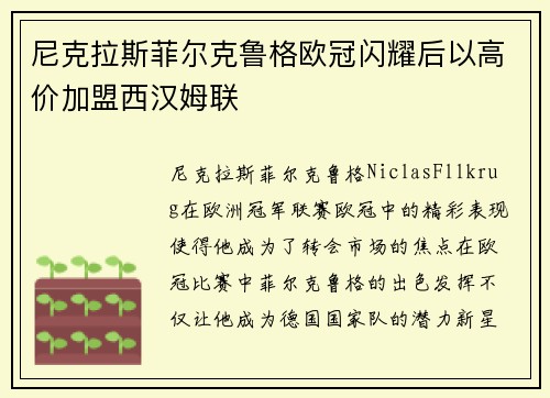 尼克拉斯菲尔克鲁格欧冠闪耀后以高价加盟西汉姆联